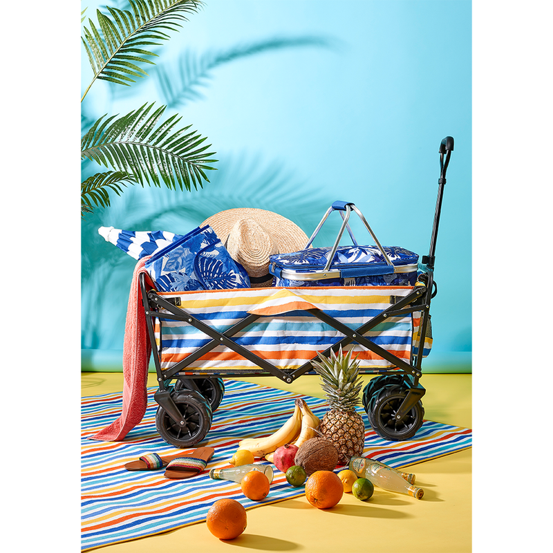 Blue Tropic Beach/Picnic Cart