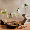 Gin-Lover's Collection (Set of 4 Asst)