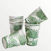 Paper Cup Palm Green Pk/20